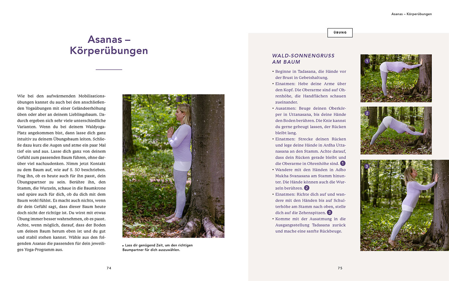 Waldyoga an Orten der Kraft