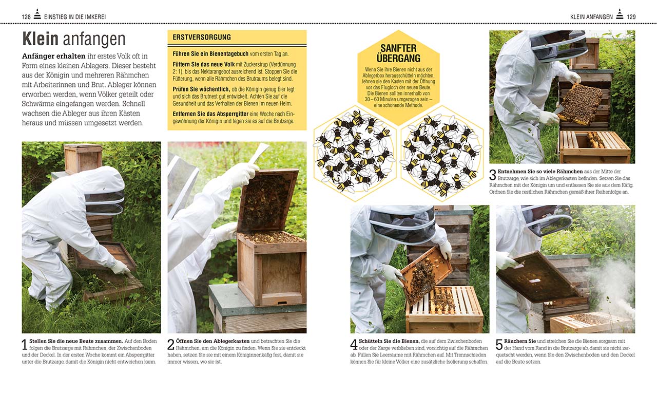 Das Bienen Buch