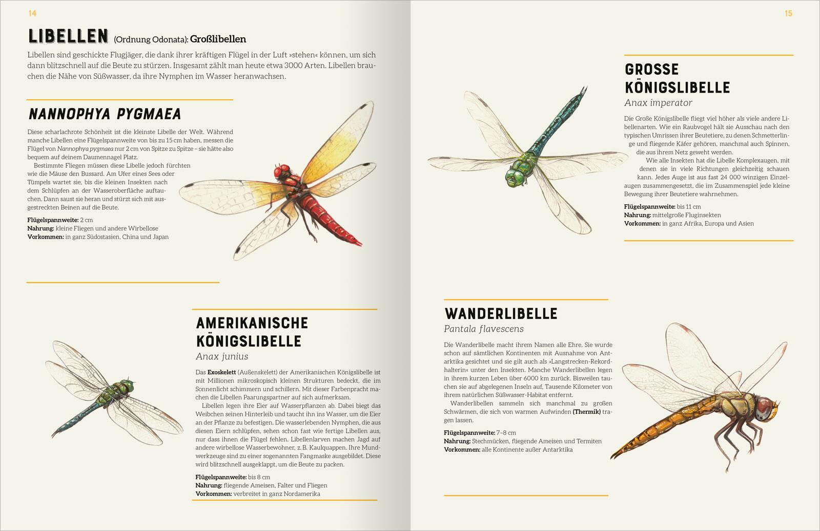 Das große Lexikon der Insekten