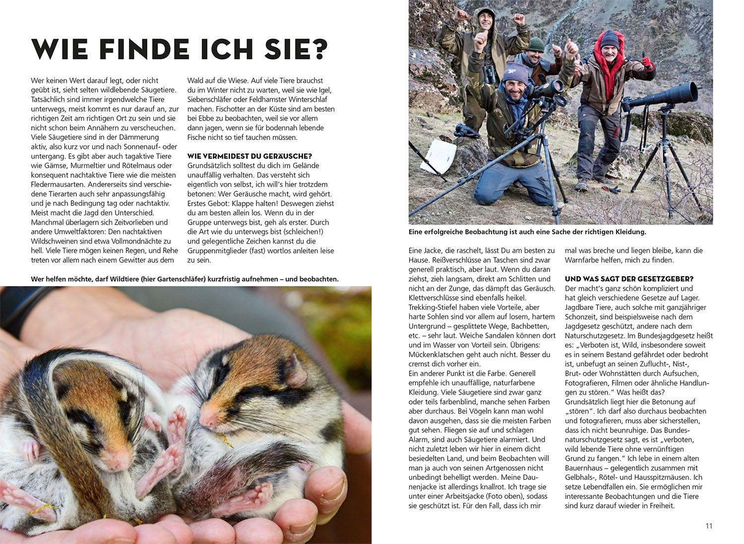 Die siehst du - Die Tiere um dich herum