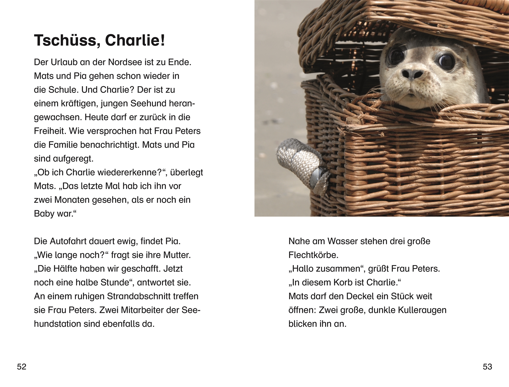 SUPERLESER! Mats und Pia retten eine Robbe