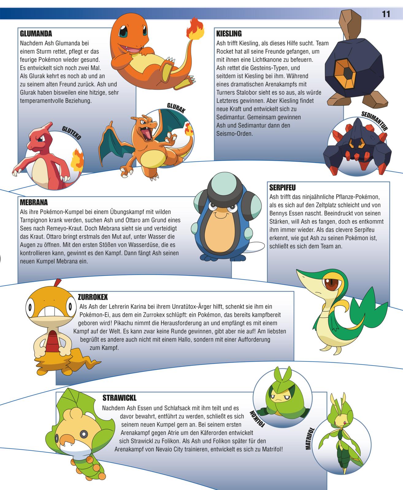 Pokémon Handbuch: Das große Lexikon