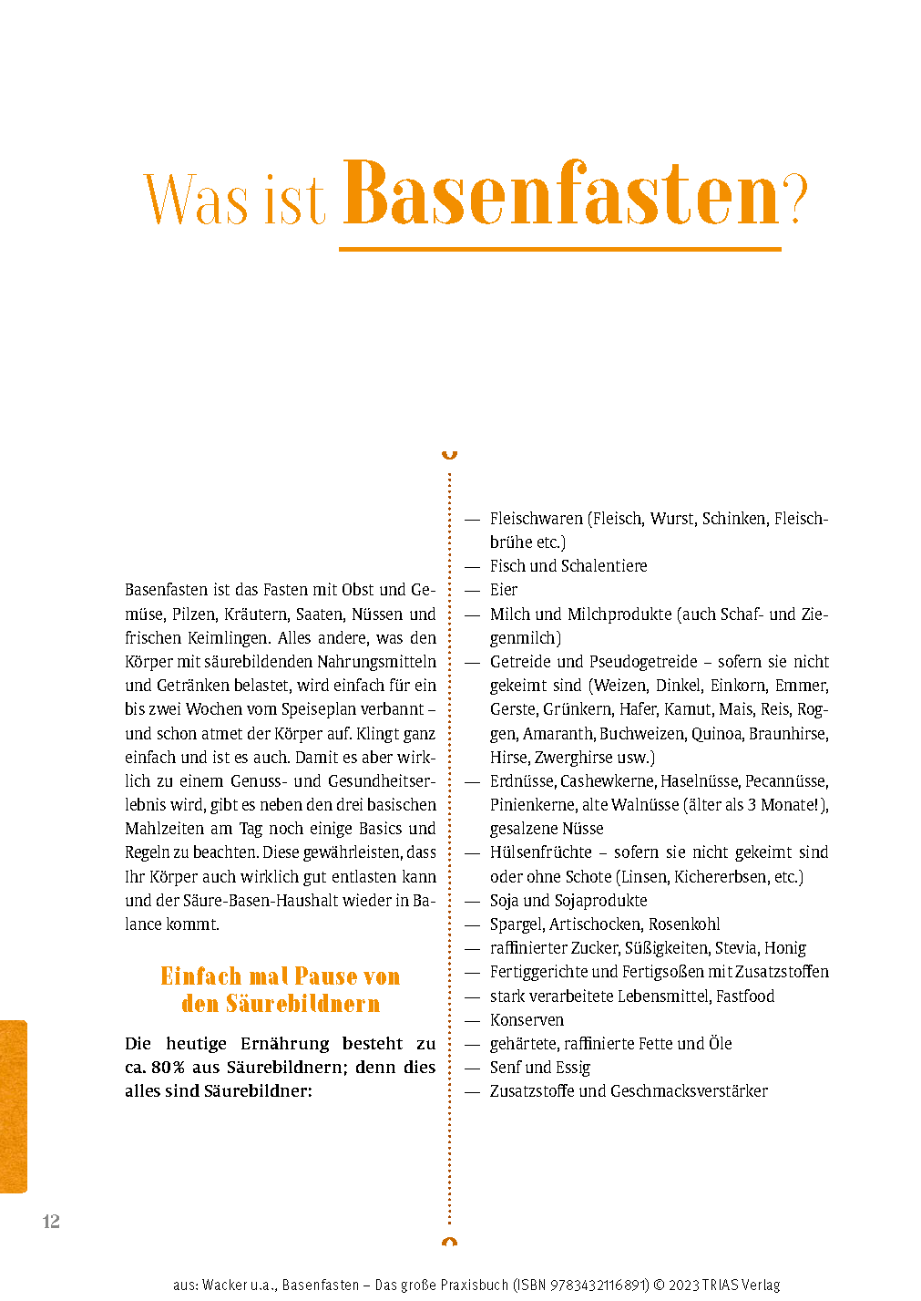 Basenfasten - Das große Praxisbuch