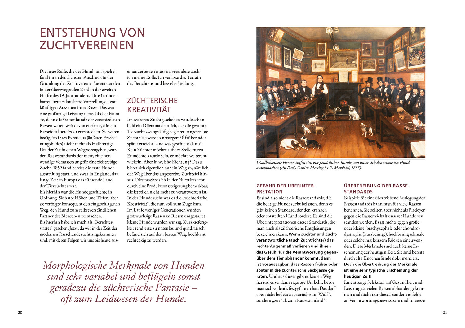 Hundezucht