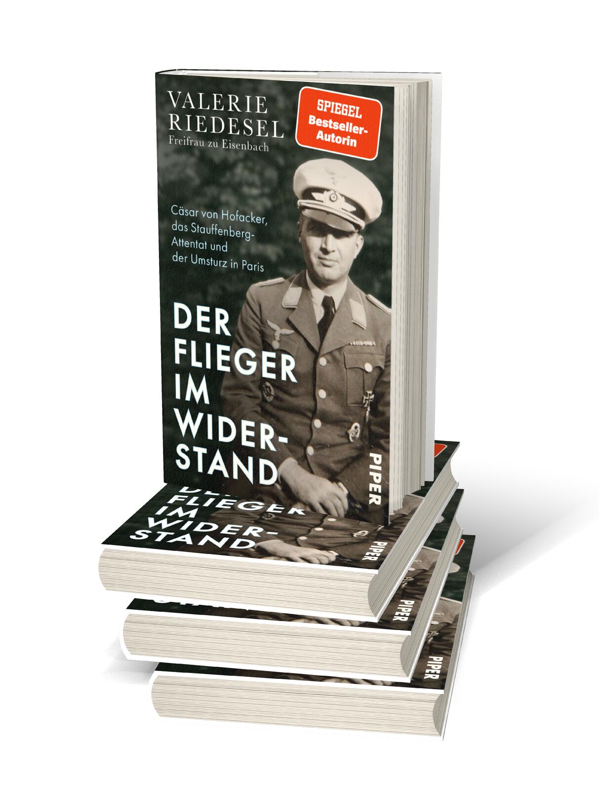 Der Flieger im Widerstand