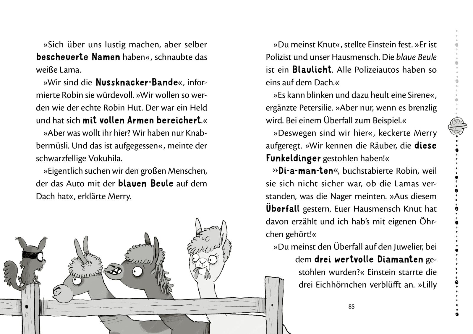 Nussknacker-Bande 1: Drei Chaoten auf vier Pfoten