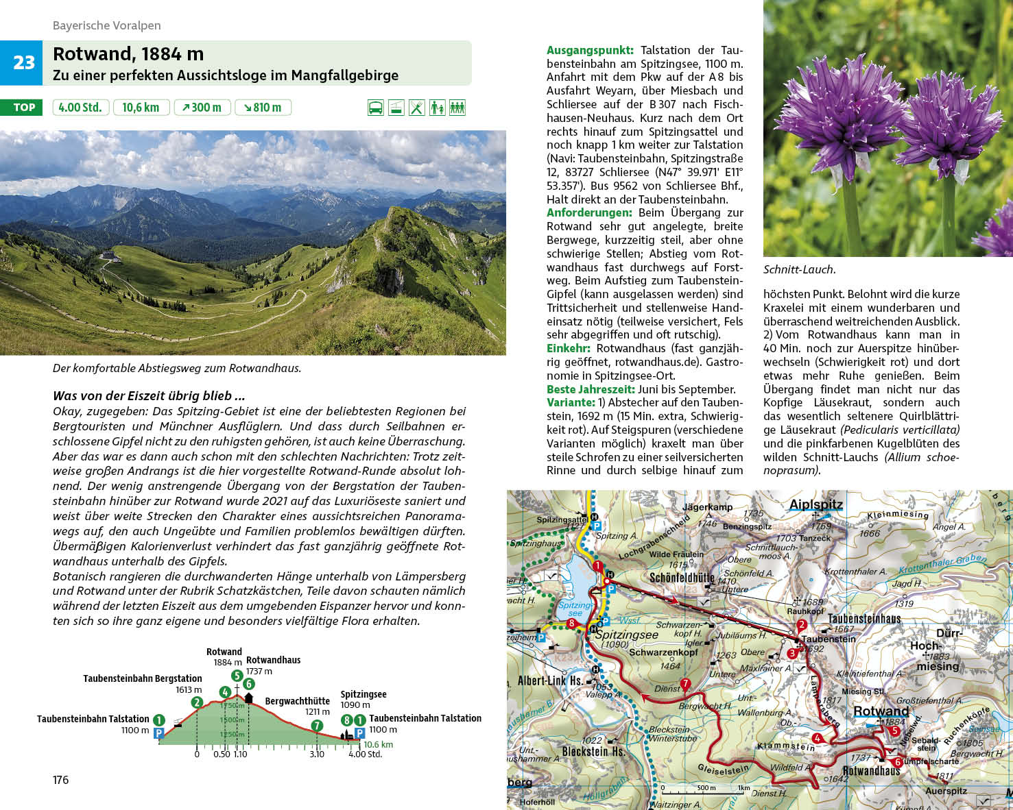 Blumenwanderungen Bayerische Alpen