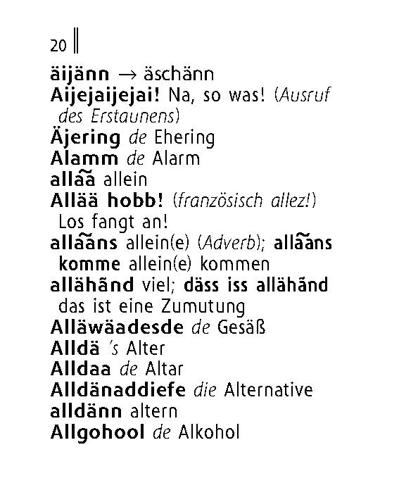 Langenscheidt Lilliput Hessisch