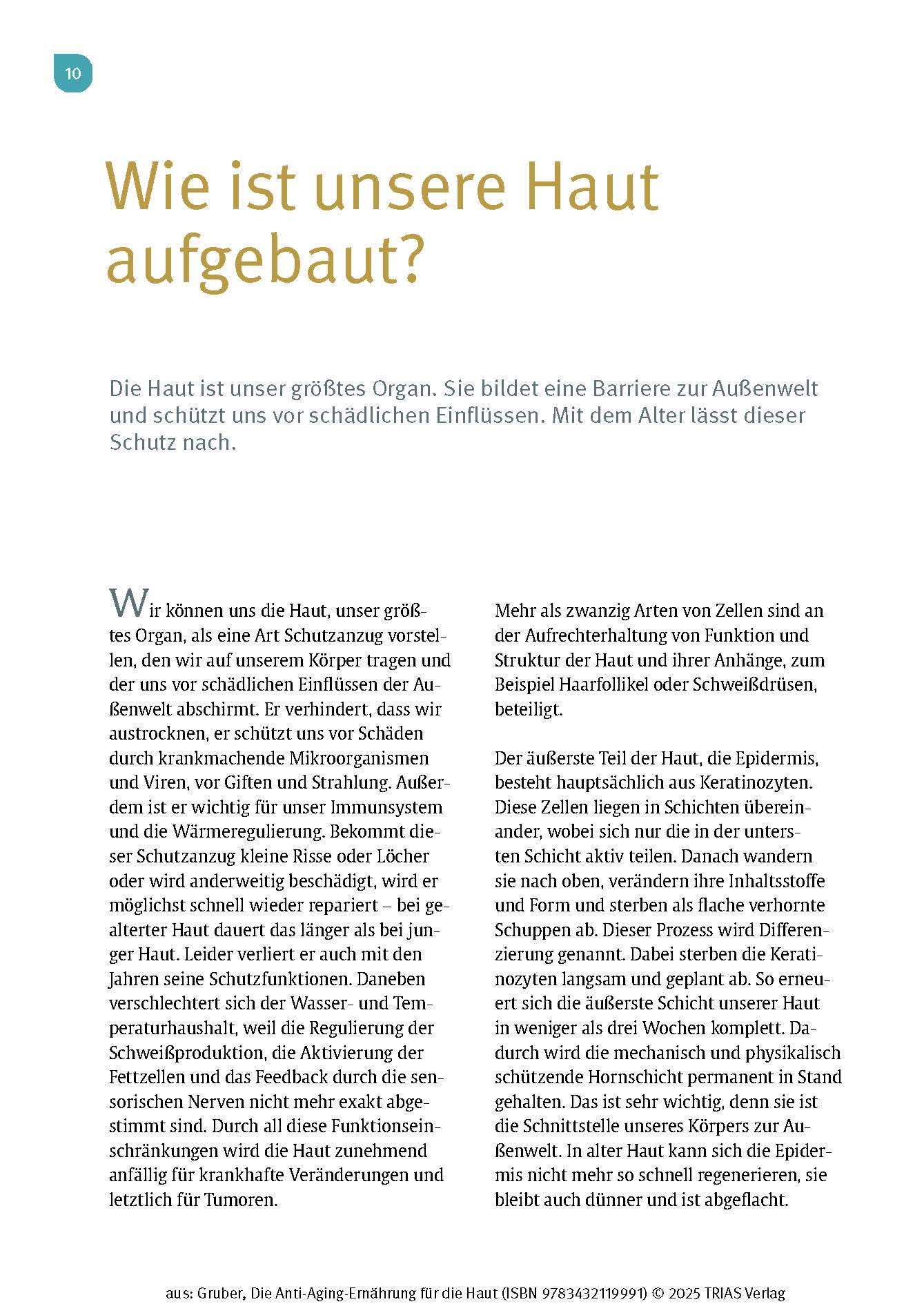 Die Anti-Aging-Ernährung für die Haut