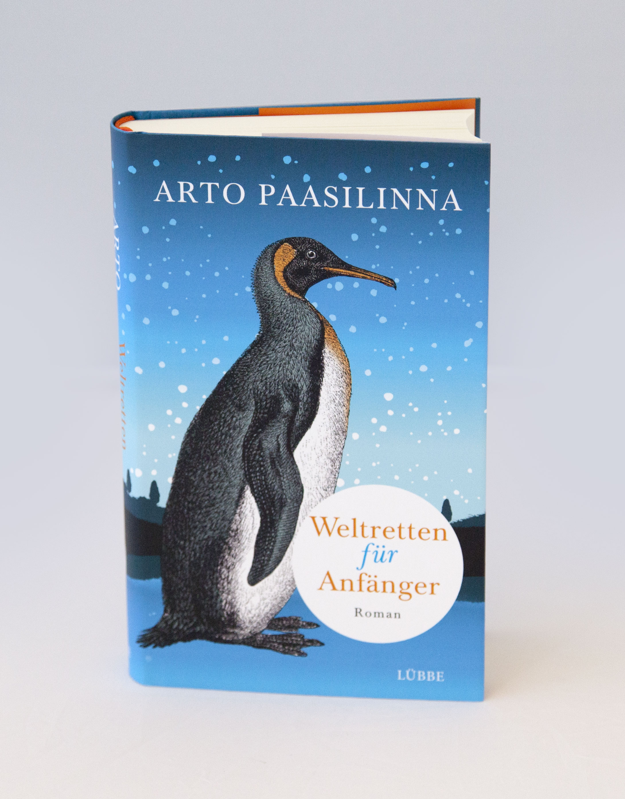 Weltretten für Anfänger