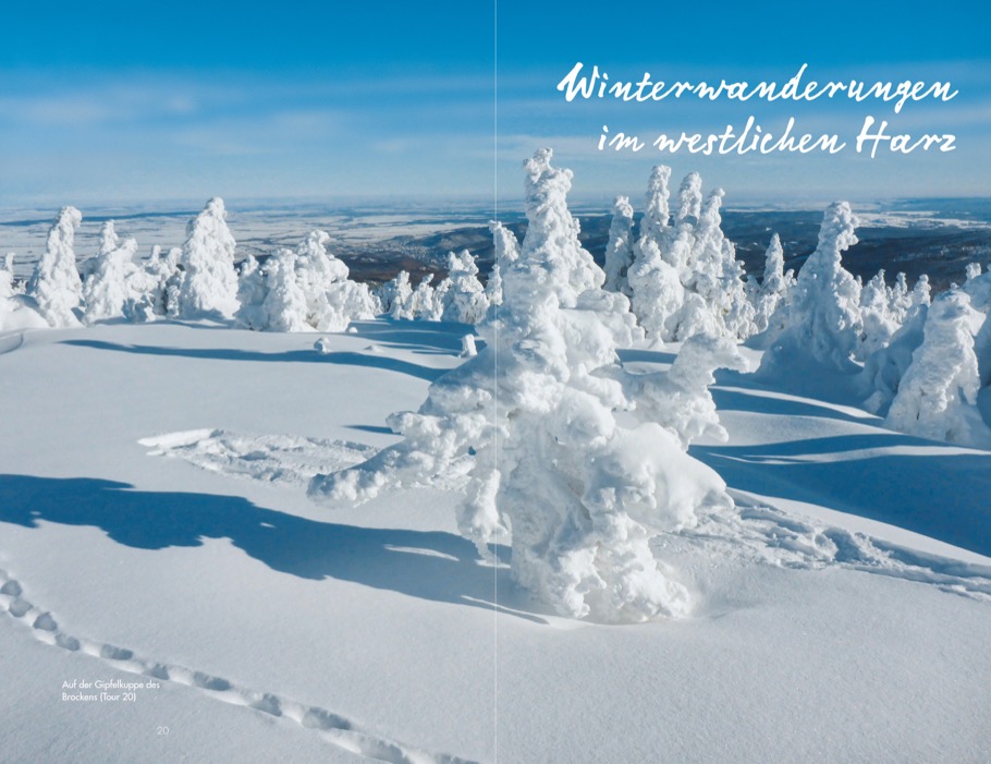 Meine Lieblings-Winterwanderungen im Harz