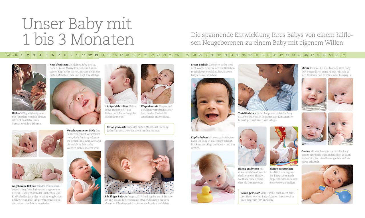 Das erste Jahr