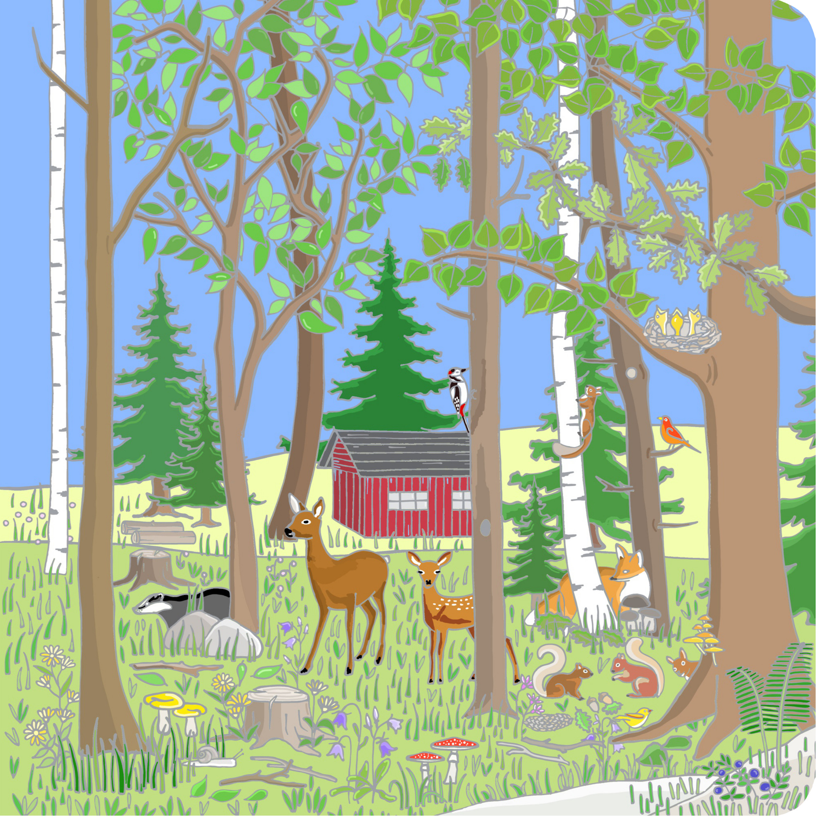 Ein-Bild-Wimmelbuch ab 1 Jahr - Wald